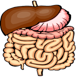 com.digestion.system