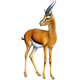 com.chatresepid.emamreza