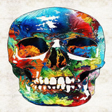 com.SkullWallpapers.bullandro