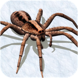 com.witty.spider.simulator