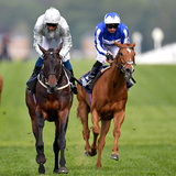 com.tigs.horseracing.horsejumping.horsegames.horserival.horseworld.myhorse.horsehotel.horsestable.topfreegames