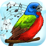 com.BirdSoundsRingtones.ReminderAppWithAlarm.Notifications