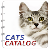 ir.rvh.catscatalog