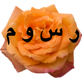 rosoom.rosoom60