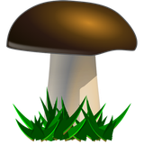 ashpazi.zahra.application