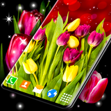 tulips.spring.summer.flowers.background.free.hd