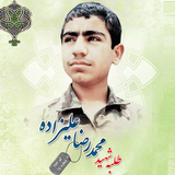 ir.p30nice.alizadeh
