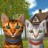 com.avelog.catsimulator