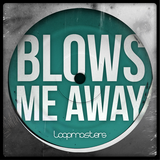 com.loopmasters.soundlibraries.blows