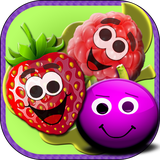 com.akrasoft.berrymatch