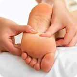 buy.delneshin.kharpashne