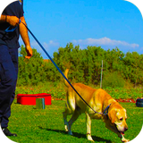 com.terminator.police.dog.stunt.training