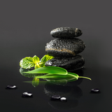 com.blackbirdwallpapers.zen