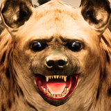 com.yamtargames.hyena