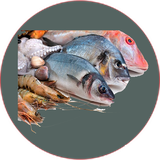 com.khorshid_ht.parvareshmahevamego