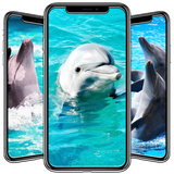 com.andromo.dev623844.app676211