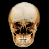 edu.augusta.DentalRadiology