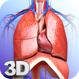com.visual3dscience.respiratorypro