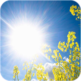 max.zedeaftabaryyana