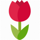 vasiyat.s.com