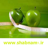 shabnam1.b.ir