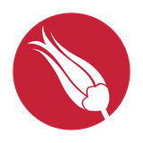 com.neptune.handsonturkish