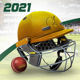 uk.co.childishthings.cricketcaptain2021