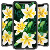 com.andromo.dev680484.app709500