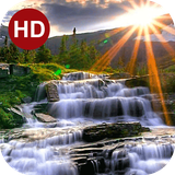 ir.hmh.PeaceLiveWallpaper_1