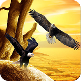 com.appmakerz.eaglewallpapers