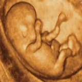 ir.motekhases.zanan.va.zayeman.d