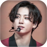 com.projdinocom.btsjungkook