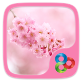 com.gau.go.launcherex.theme.flowers.baohan