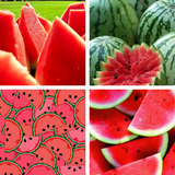 com.techzit.watermelonwallpapers