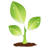 barlas.app.giahan.daruyi