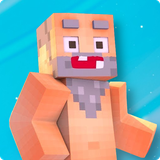 com.nekii2.homelessskins