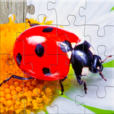 se.appfamily.puzzle.insects.free