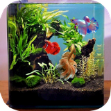 ir.tinasoft.fish_care_at_home