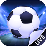 com.kvartsoft.livescorefootball