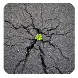 ir.a.d.jo.ta.go.bozorgan