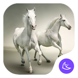 com.apusapps.theme.i_pure_fdcf2451a5