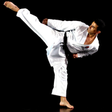com.devexp.pocketpt.shotokan