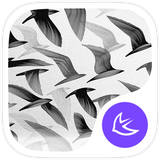 com.apusapps.theme.i_color_in_black_and_white_ef50aafa76