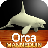 com.apps3DMannequins.OrcaMannequin
