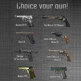 com.webdeveloperlv.guns