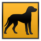 com.mik61.dogsoftheworldfree