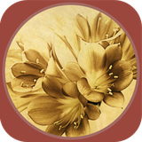 ir.tinasoft.tales_steady.marzban_nameh