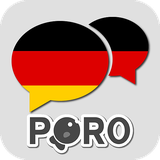 com.porolingo.gconversation