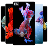 wallpaper.free2019.infinity.games360apps.betta.fish.background