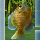 com.bestfishinggames.fishing3d